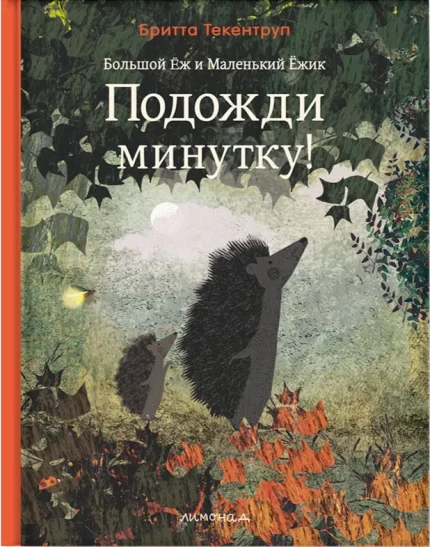Обложка детской книги на русском языке
